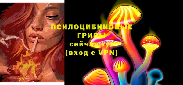 твердый Богородск