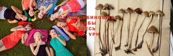 винт Богородицк