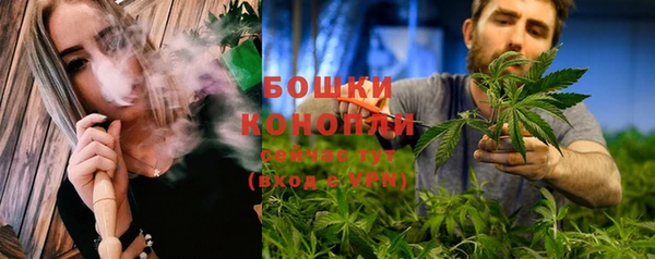 твердый Богородск