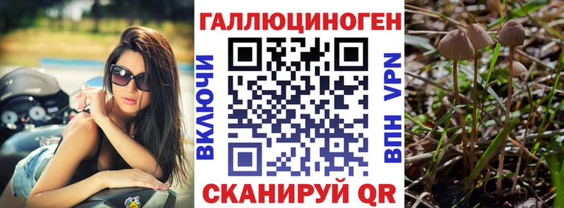 цены наркотик  blacksprut маркетплейс  Псилоцибиновые грибы мицелий  Джанкой 